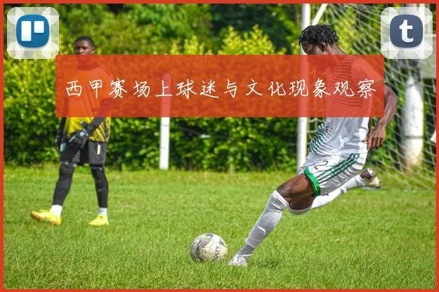 西甲赛场上球迷与文化现象观察